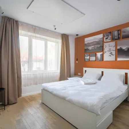Chic Mountain Apartament Brașov
