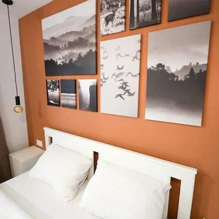 Apartment Chic Near Old Town Brasov