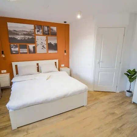 Chic Near Old Town Apartment Brasov