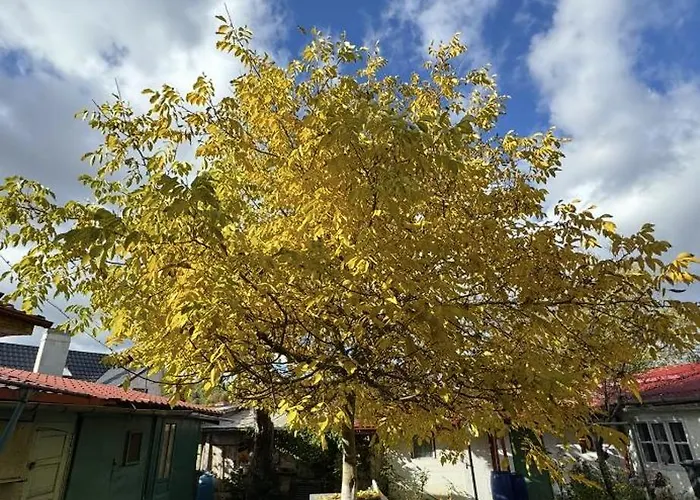 Chic Near Old Town Apartamento Braşov